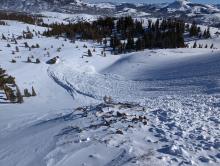 Looking down from the mid-slope bench