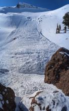 Looking back up from the end of the debris. Crown profile in the shade top right