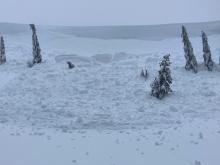 Natural avalanche, cornice fall triggered, Wildflower Ridge, NE aspect at 7,800'.