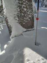 3 inches or so of storm snow settlement overnight.