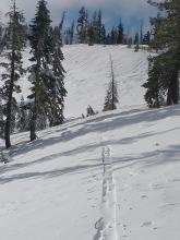 Wind scouring on E aspect terrain, exposing rain crust with runnels.