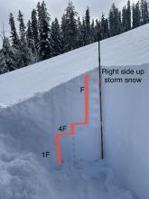 NE Aspect, 7500', 85+ cm of new storm snow, felt bottomless today.