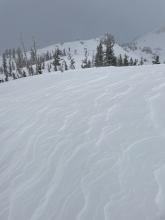 Textured wind effected snow surface on ridgelines.