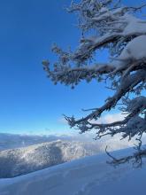 Trees along the summit ridge were covered in fine rime from previous westerly winds.