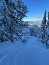 Evidence of east wind effect in below treeline terrain near the summit. 