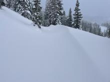 2-3' wind drifts forming on service road up to Elephants Hump.