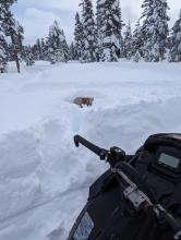 The unofficial depth gauge near Lower Blue Lake is almost completely buried 