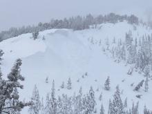 Natural wind slab avalanche partially covered by additional snow.