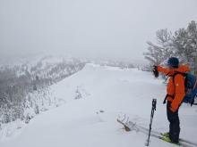 Natural wind slab avalanche with possible cornice collapse as trigger.