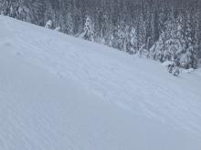 Partially/mostly covered avalanche debris