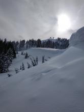 Older, well buried wind slab avalanche on Wildflower Ridge.