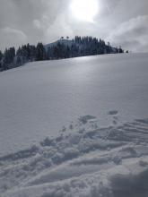 Breakable rain crust along the top of Wildflower Ridge at 7,700'.