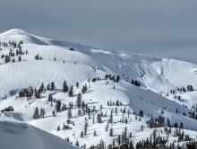 Adjacent to the avalanche from the 8th, with more recent but smaller avalanches