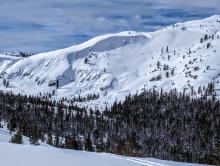 The site of the avalanche reported on Jan 8th, with too much additional snow to clearly see evidence of the avalanche