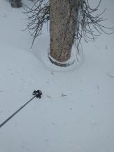 Signs of substantial upper snowpack settlement post storm.