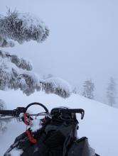 Freezing fog along the ridge top. Genoa Peak wasn't far in the background but not visible today 