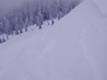 Looking at the same test slope failure from the other side. The wind slab failed on a layer of softer storm snow. It was about 10 to 15 inches thick.