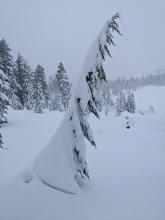 Some signs of settlement in the recent snow.