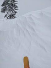 Scoured and sculpted snow surfaces existed on ridges and in open areas. 