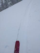 Blowing snow quickly refilled the skin track near the summit of Judah.