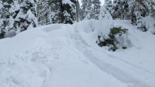 Riding down where the ski tracks are, I triggered the small ~1' slab to looker's left. 6800', NW aspect.