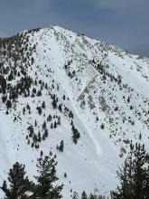 Loose point release D1 on SE aspect of Mt. Rose