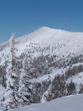 NE winds blowing snow on the top of Basin Peak.