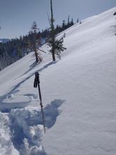 Buried SH found in hand pits on this E aspect terrain from the ridgetop down into open areas below treeline..