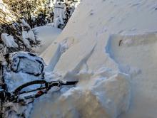 A small, shaded and wind loaded test slope below treeline