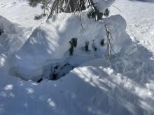 Settlement cracks around trees at 9000'.