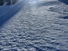 Wind effected snow near treeline just below the summit.