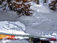 Small cornice pieces triggered a small 1 inch deep failure on a wind-loaded test slope near Becker Peak.