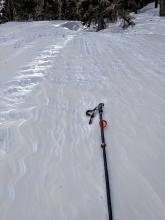 Wind pressed and carved snow in an opening below treeline on a N facing slope on Talking Mountain.